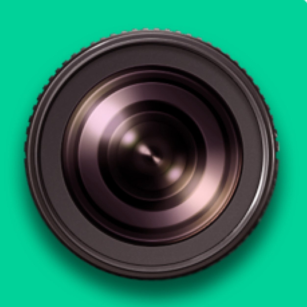 Vines, vines, vines y más vines