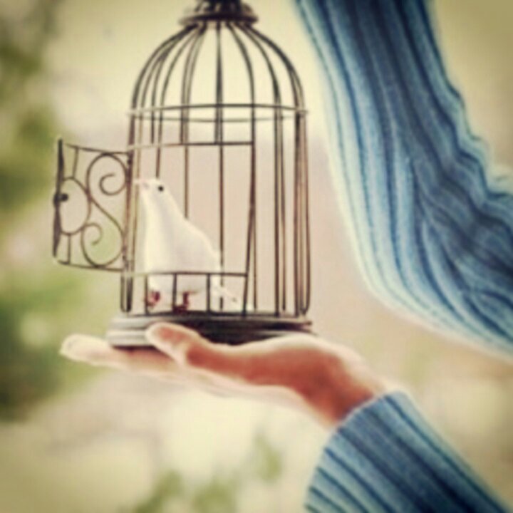 ‏‏،، مااعظم ان تكون غائبا حاضرعلى ان تكون حاضرا غائب☆♥`  What's the greatest to be absent attendant to be on that present a
