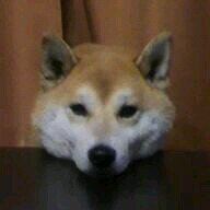 COD初心者です(｡-∀-｡)仲良くしてください！（笑）