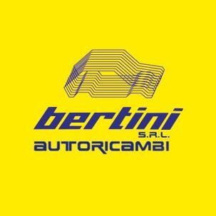 BAutoricambi's profile picture. Bertini vendita autoricambi online con sede a Sora (FR) - offre una vasta gamma di ricambi e accessori auto delle migliori marche.