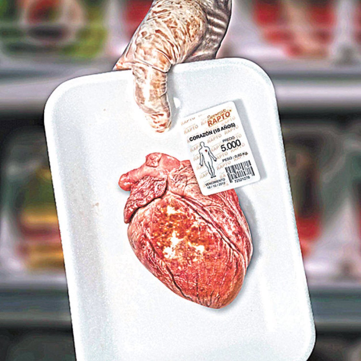 TrficoDOrg's profile picture. 