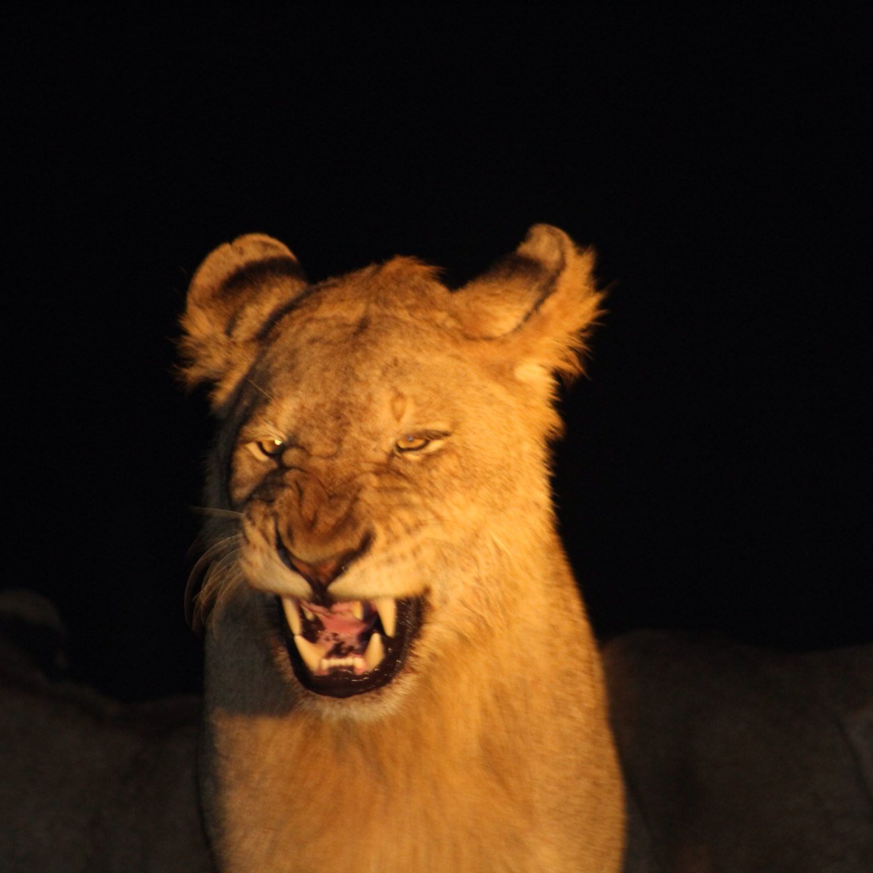 cmd1307's profile picture. 