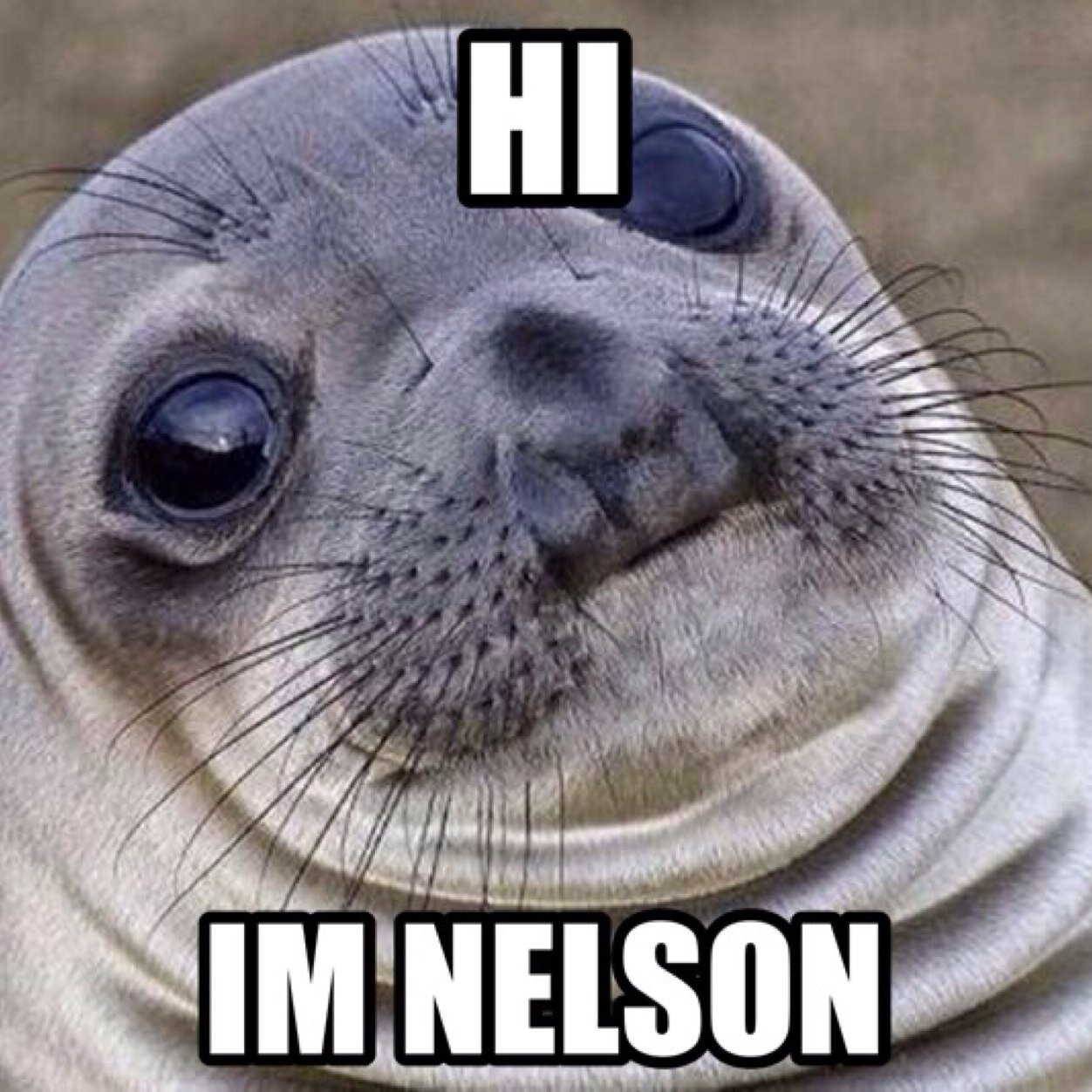 Hi im nelson and let me tell ya...pimpin aint easy