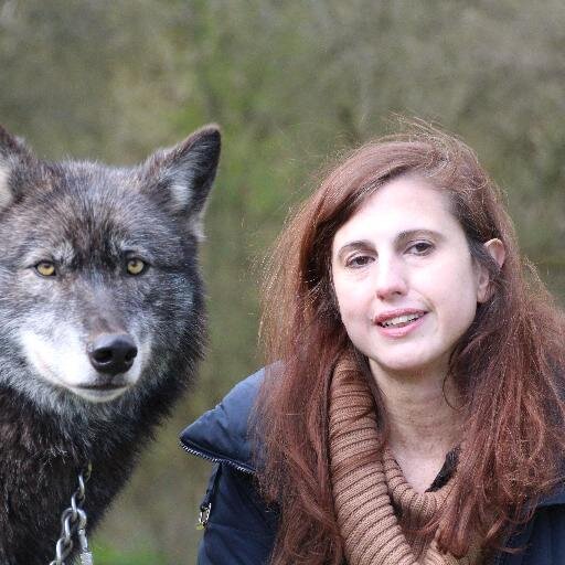 Travel writer, short storyist, book/food reviewer, Senior Copywriter @ Iconic Brand, proud to have been Wolf Print's editor. Simple and complex in equal measure