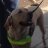 WillowDavey's profile image