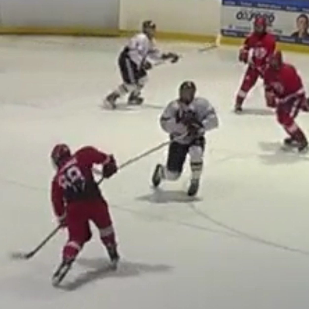Prédateurs Espoir 2013-2014