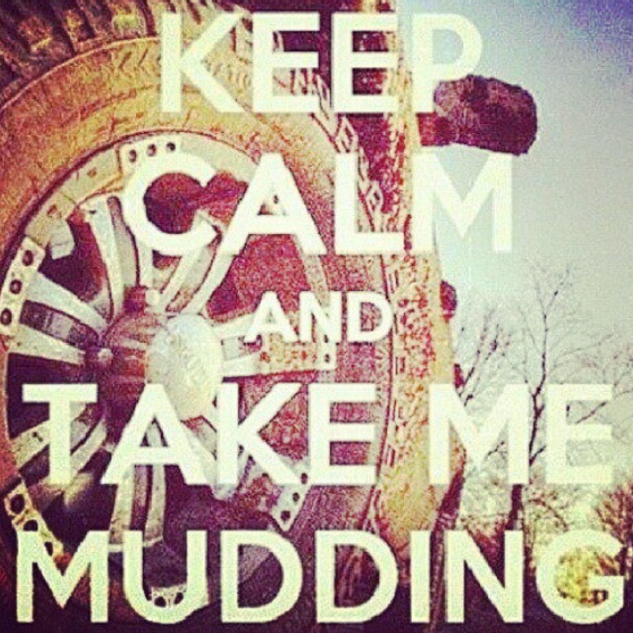 Stay__Country's profile picture. 