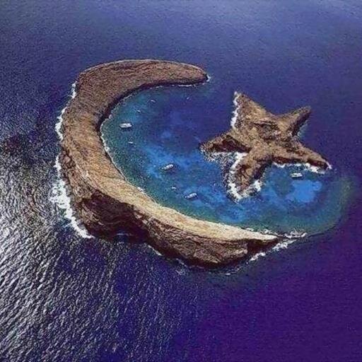 berke_kobalas's profile picture. TAKIP EDENI TAKIP EDERIM TAKIBI BIRAKAN UNFLANIR...