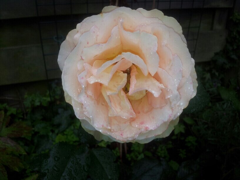 artep121's profile picture. 