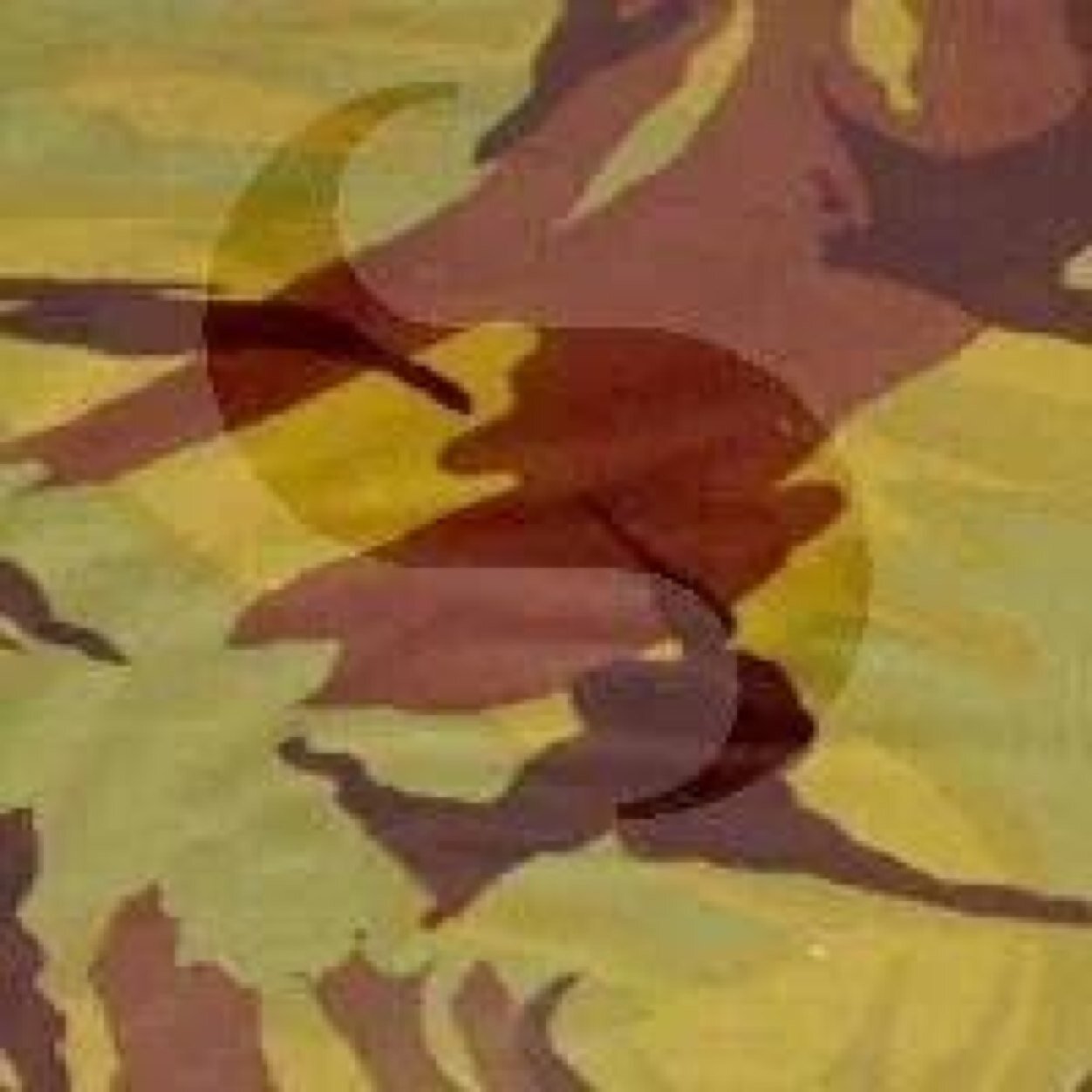 LimaCoyRMC's profile picture. 