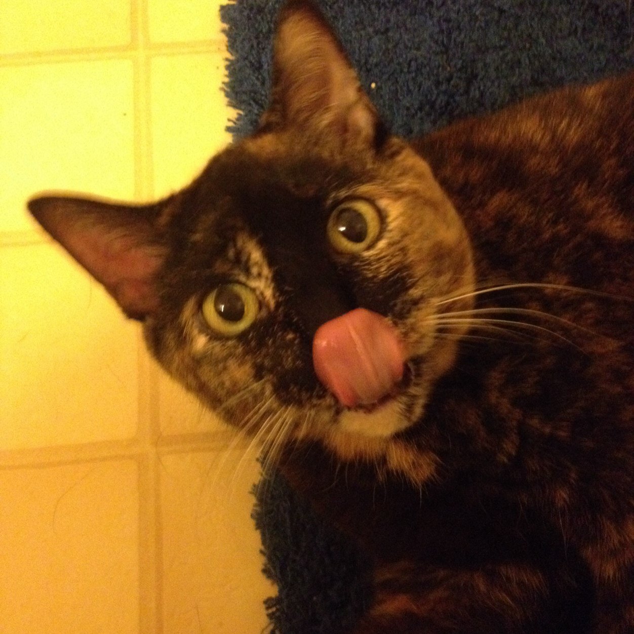 theiowaamber's profile picture. My LiFe'S gOaL iS tO bE iN pAw FleEt.... AnD gEt iN tHe cLoSEt!!! I ❤️ mY aUnTs NiKi, B, CaLi Su, DeB, MeLiSsa, MaRiE, tAsHa aNd pAiGe. My mOm iS alRiGht 2.