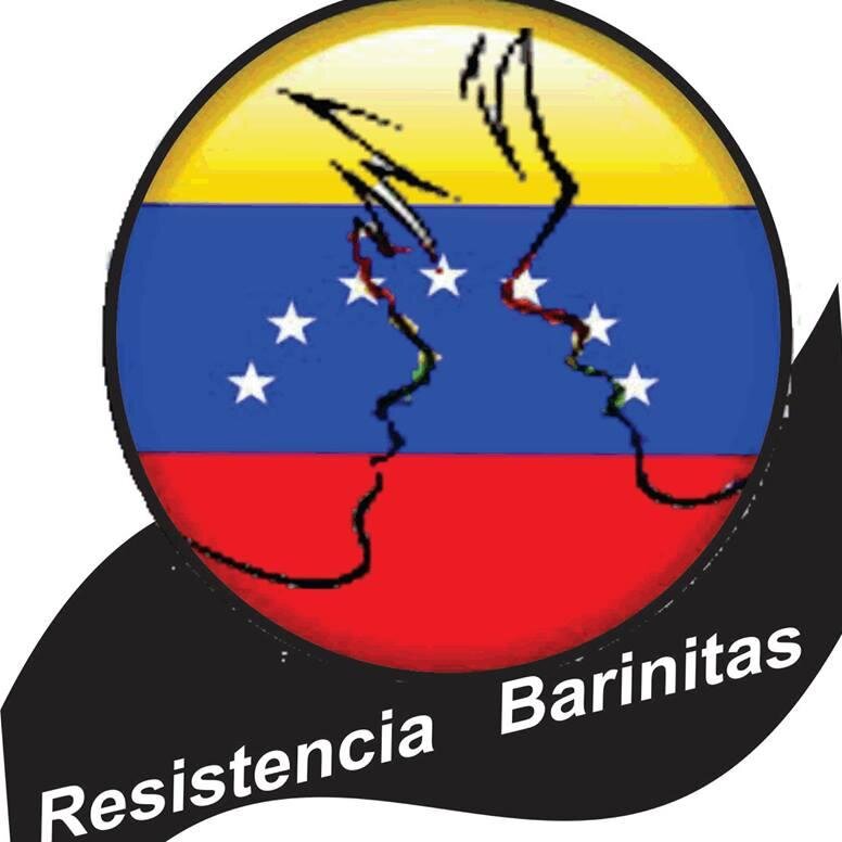 Los estudiantes somos las neuronas de este país, si nos matan a nosotros, están matando es al futuro de Venezuela.