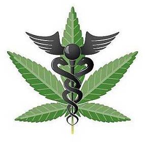 Marijuana is the most controversial plant in the world. Educate yourself here. Follow me and I will follow you.