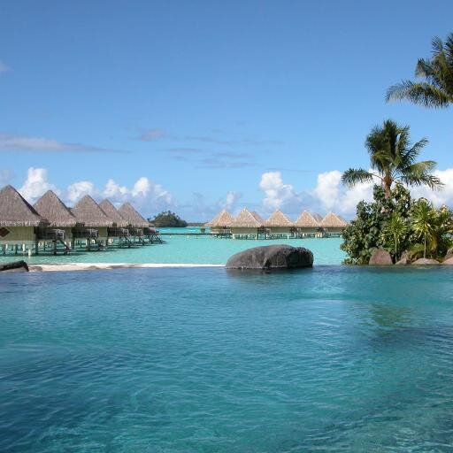 guellillamia3's profile picture. 