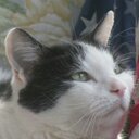 Sue Mccoy - @sue11091956 - Twitter