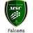 MSC_Falcons's profile image