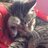 G_M_Duffy's profile image