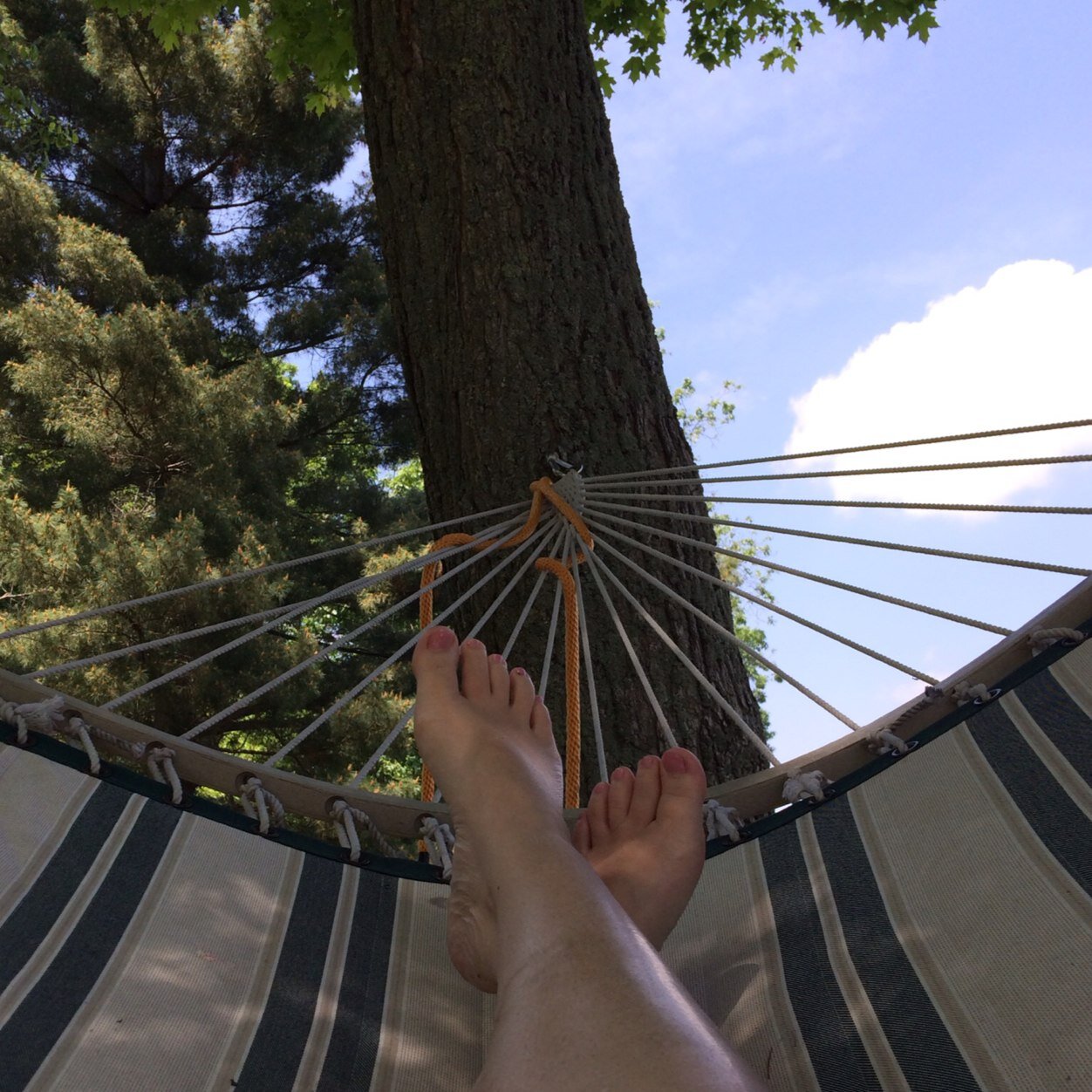 tami_moreland's profile picture. 