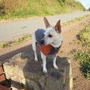 Jack Calvin - @jcalvin_sf - Twitter