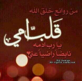 لاإله إلا الله