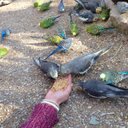 Sunny Lee - @Christin71Lee - Twitter