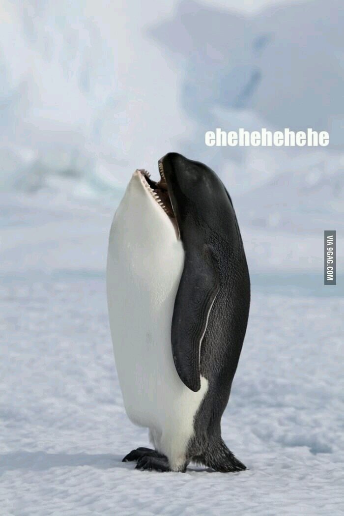 ViktoriaWaid's profile picture. 