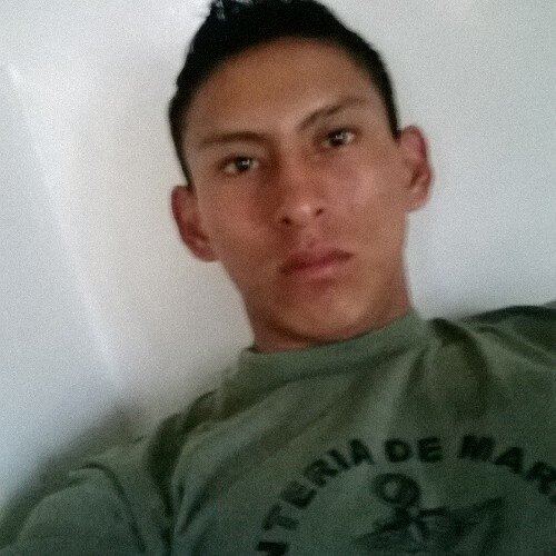 wilmerz34553994's profile picture. 