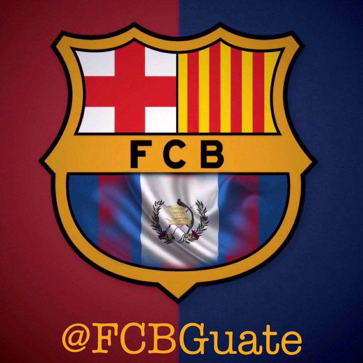 FCBGuate Profile Picture