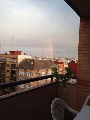 GueSagrario's profile picture. 