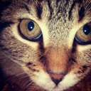 Shawn Dick - @dick_shawn - Twitter