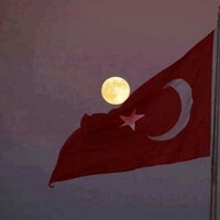 oğuzbatuhanalp (@gobbask) 's Twitter Profile