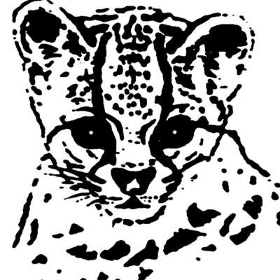 International Society for Endangered Cats increases public awareness on the small wild cat species and provides support for field research.