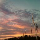 TANYA FIELD - @TANTEXAS - Twitter