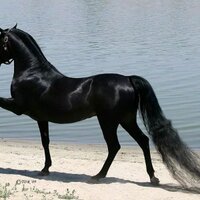 سالم محمد (@salm653) Twitter profile photo
