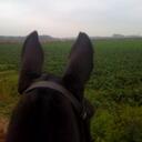 David Mountford - @DRMountford - Twitter