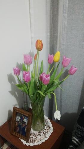 diamacoz's profile picture. 