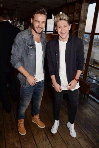 I am a fan trying to get Niall Horan to notice me xx follow for a follow back xx my personal account is @horan_kd Reddio