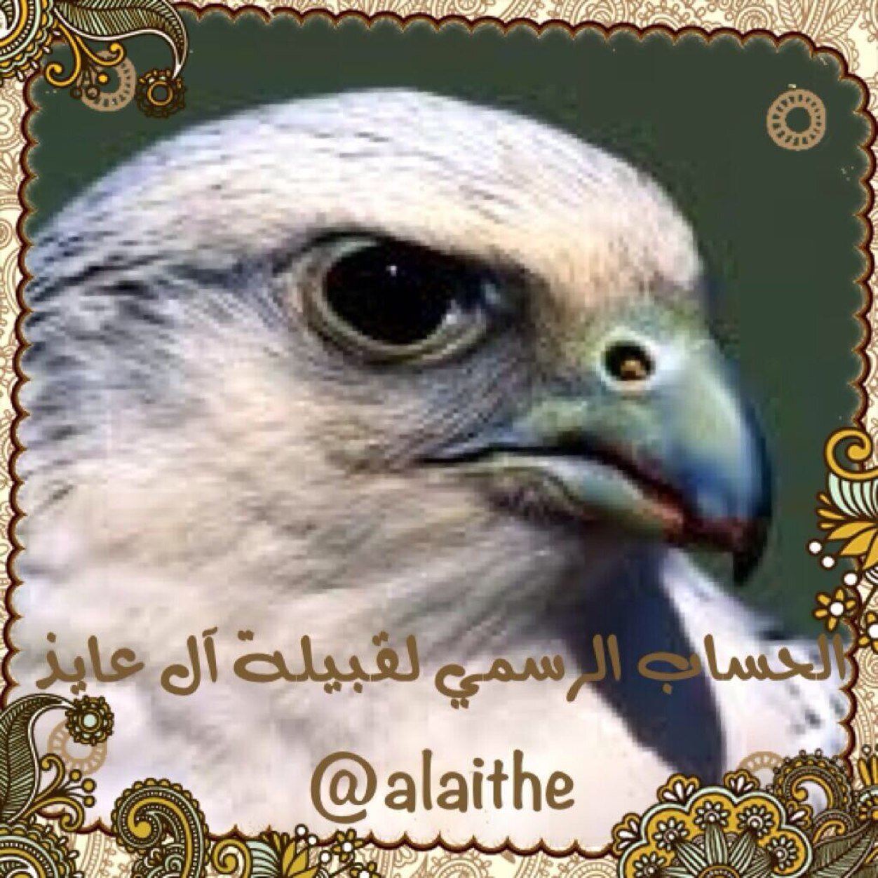 نتشرف بمتابعة الجميع في الحساب الرسمي والوحيد الخاص بقبيلة آل عايذ عبيدة قحطان