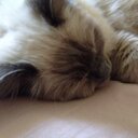 Anna Harbour - @anna_harbour - Twitter