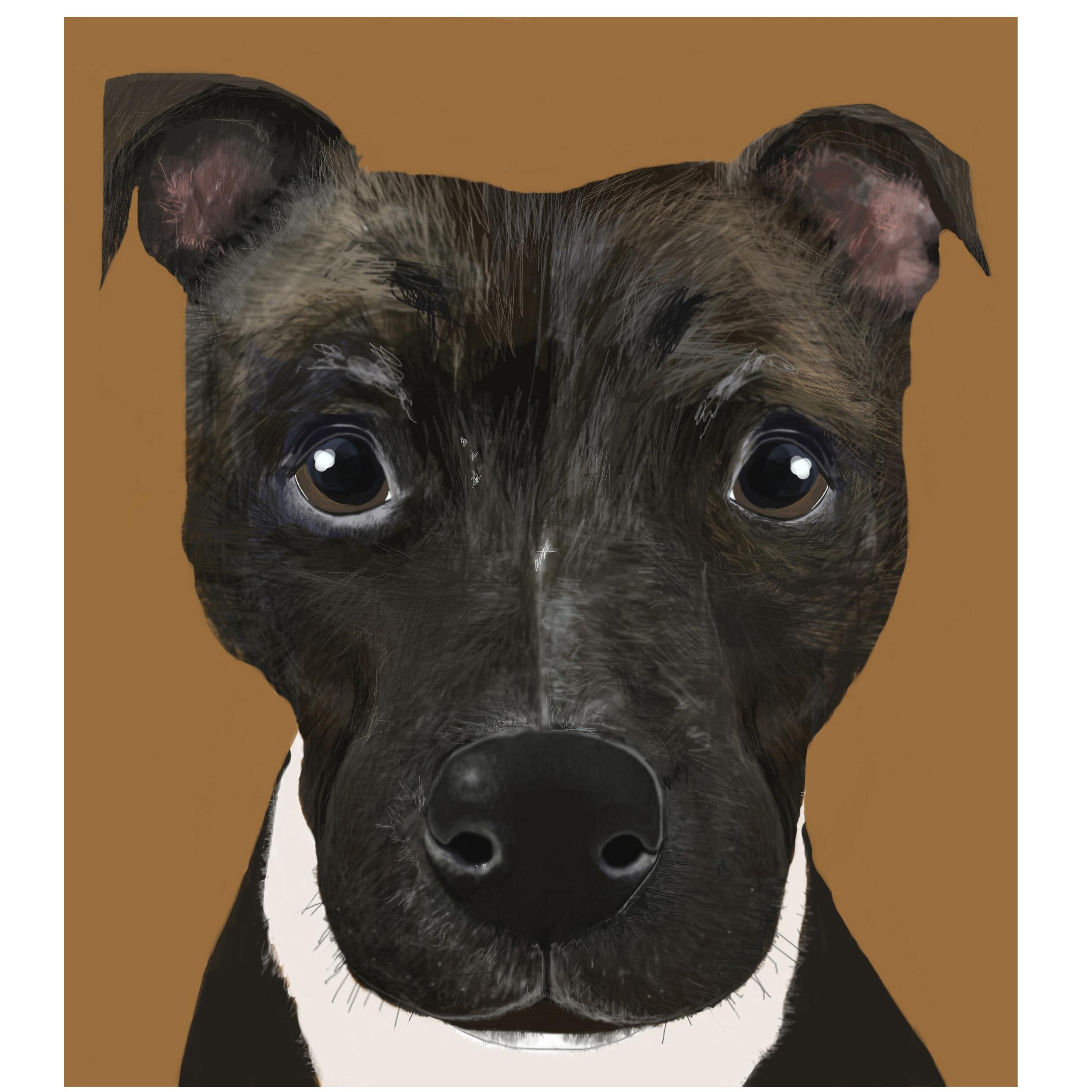 thepawsinprint's profile picture. I'm Beth an illustrator and portrait artist mainly drawing those with paws and occasionally those without ;0)