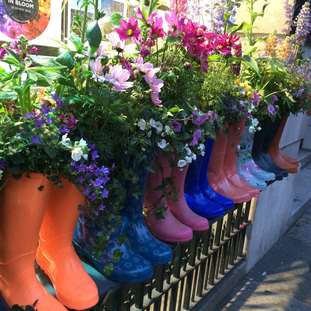 vrookie's profile picture. Music, flower and family lover. An inquirer of life...