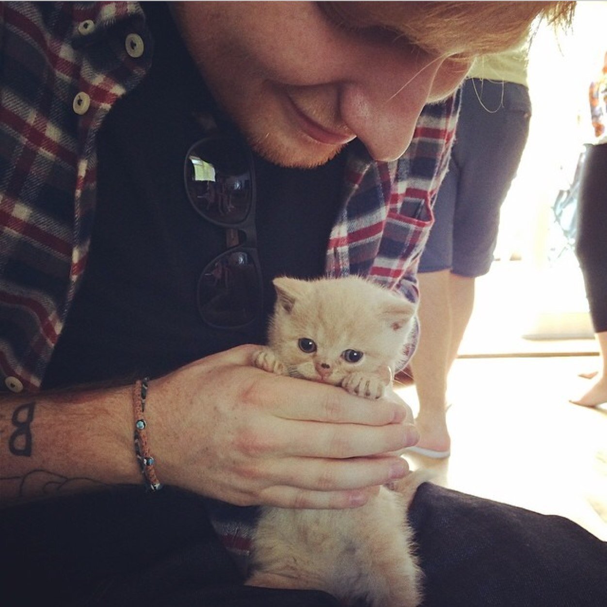 sheerankeygdr's profile picture. I love cats,pizza and music.