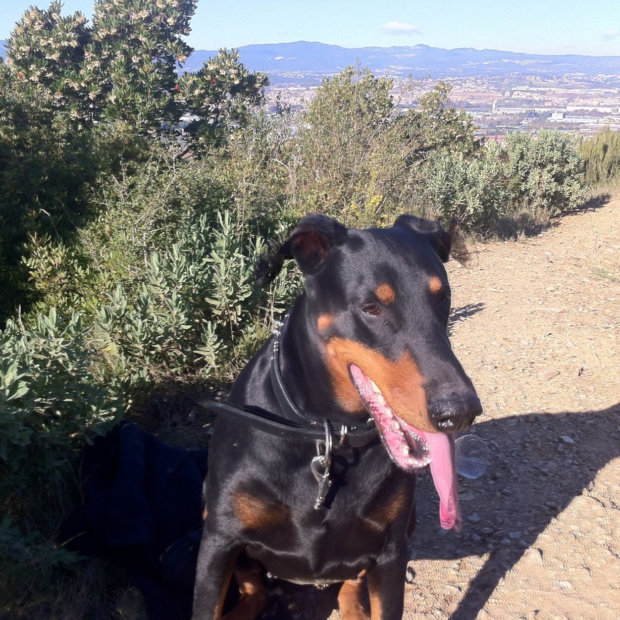 la vida es bella.. enamorada de la vida