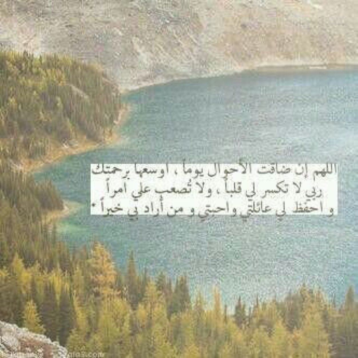ثلث القرآن : ﷽ ﴿ قُلْ هُوَ اللهُ أَحَدٌ ۝ اللهُ الصَّمَدُ ۝ لَمْ يَلِدْ وَلَمْ يُولَدْ ۝ وَلَمْ يَكُنْ لَهُ كُفُوًا أَحَدٌ ۝ ﴾
