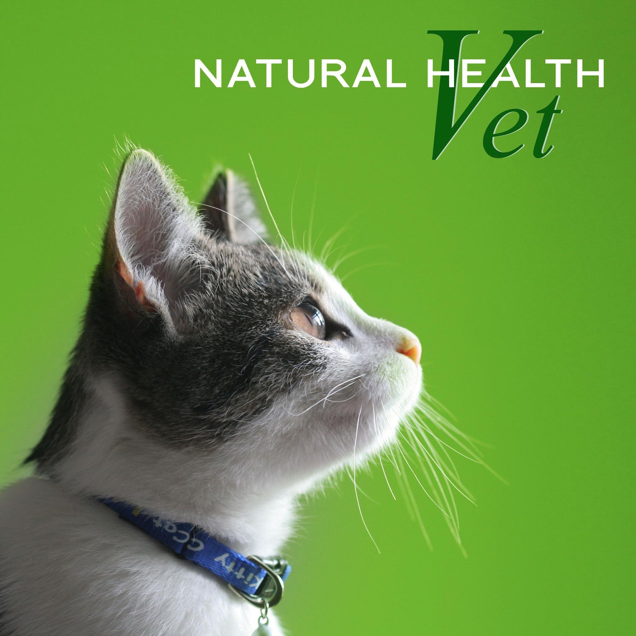 Natural Health Vet is a site set up by Veterinary Surgeon Dr Paul Boland.  Paul is dedicated to promoting innovative natural health products for animals.