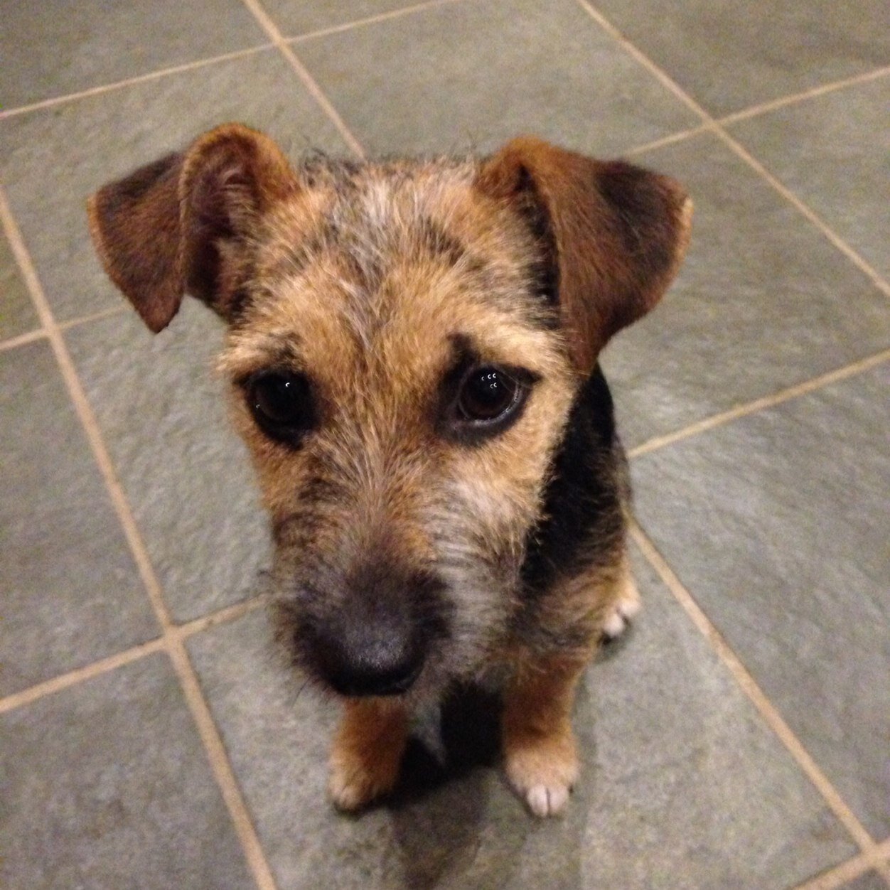 EABramwell's profile picture. 