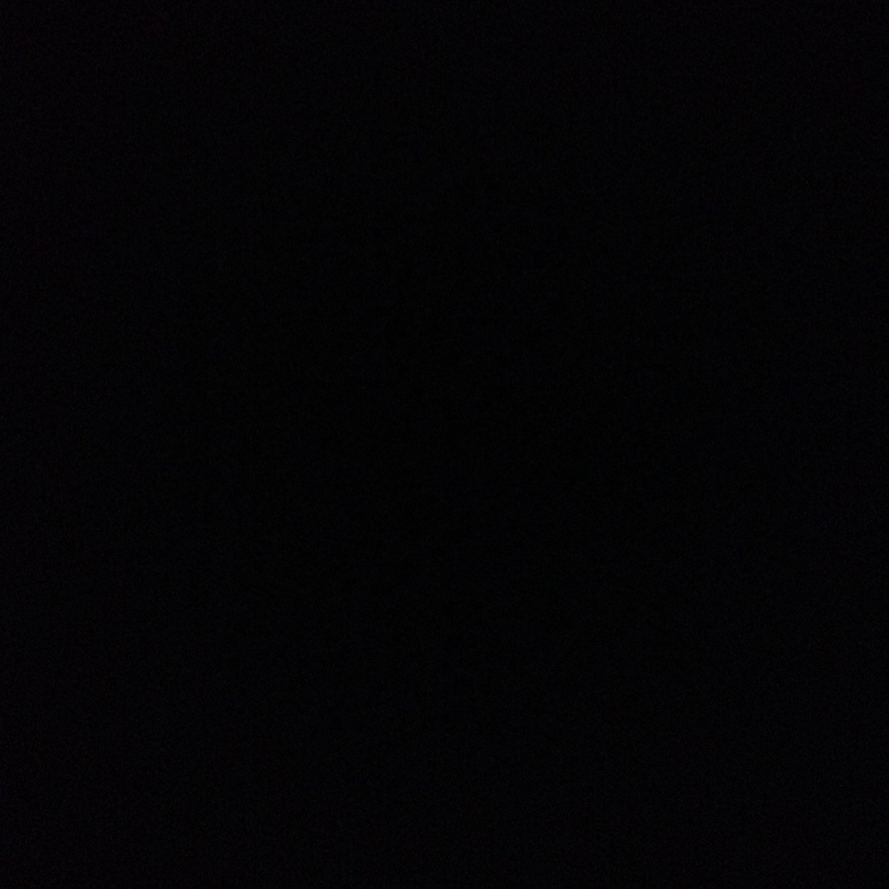 elletaaylor's profile picture. 