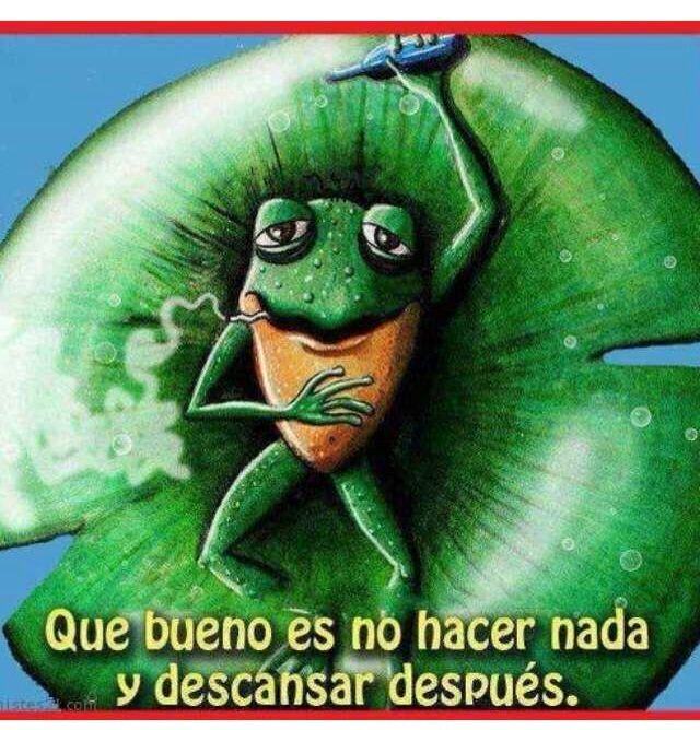 XD