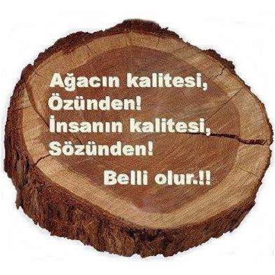 Değişmeyen tek şeyin, değişim olduğu gerçeği: her değişimin, bir gelişim olmadığı, gerçeğini değiştirmez..