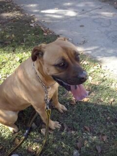 gongatorres's profile picture. me encanta ser Quipueíno, los perros,y amigo de verdad!